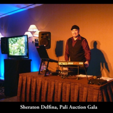 Sheraton Delfino Pali Auction Gala